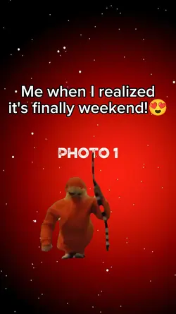 New template