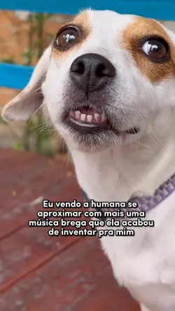 Música brega