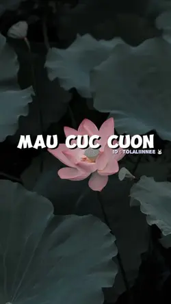 MAU CUC CUON 