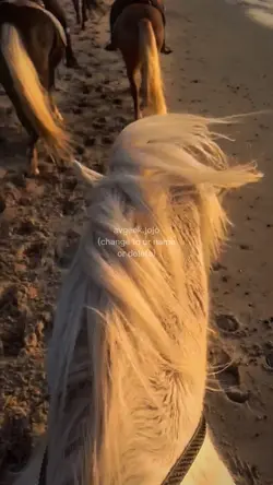 smooth slow motion 5