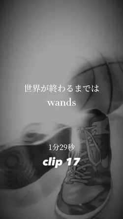 世界が終わるまでは/wands