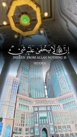 عبد الرحمن مسعد 