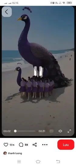 Mẫu 5 ảnh
