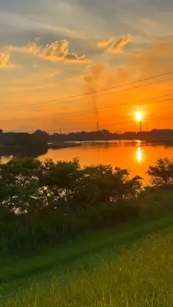 綺麗な夕日