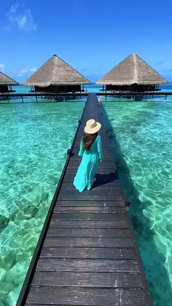 6 video or photo