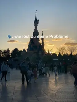 Probleme 