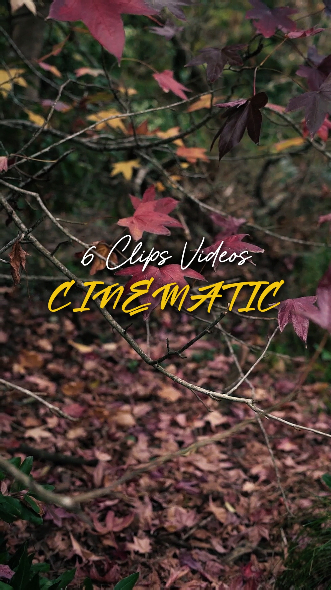 Cinematic 6 Videos