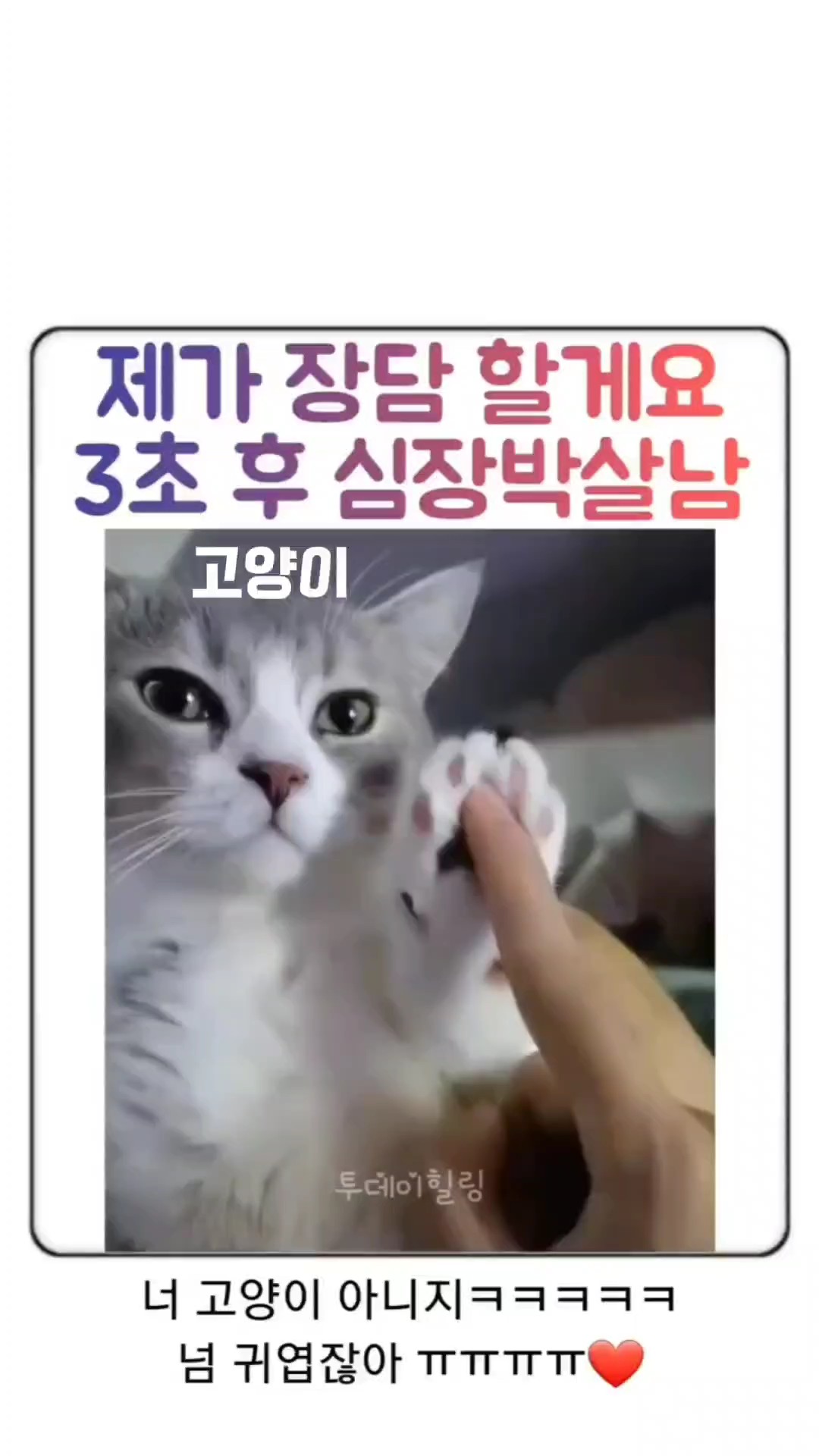 주의 3초후 심장 박살남