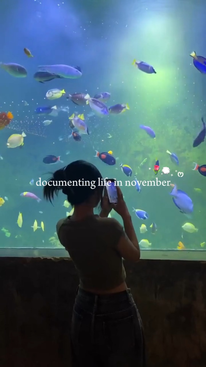documenting life in 