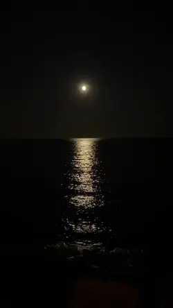 "Ninguém fala..