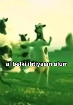 ineklerrr