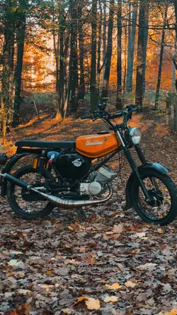Simson