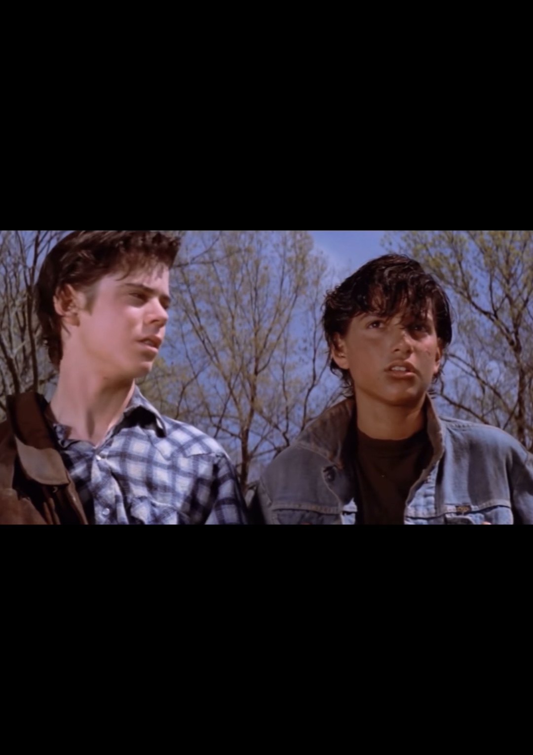 Ponyboy and Johnny 