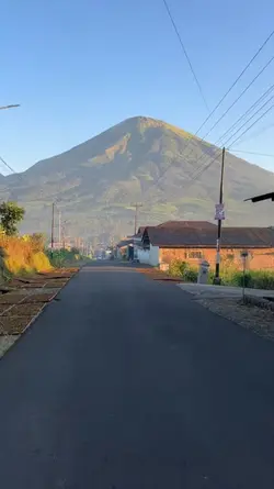 pesona pemain voly