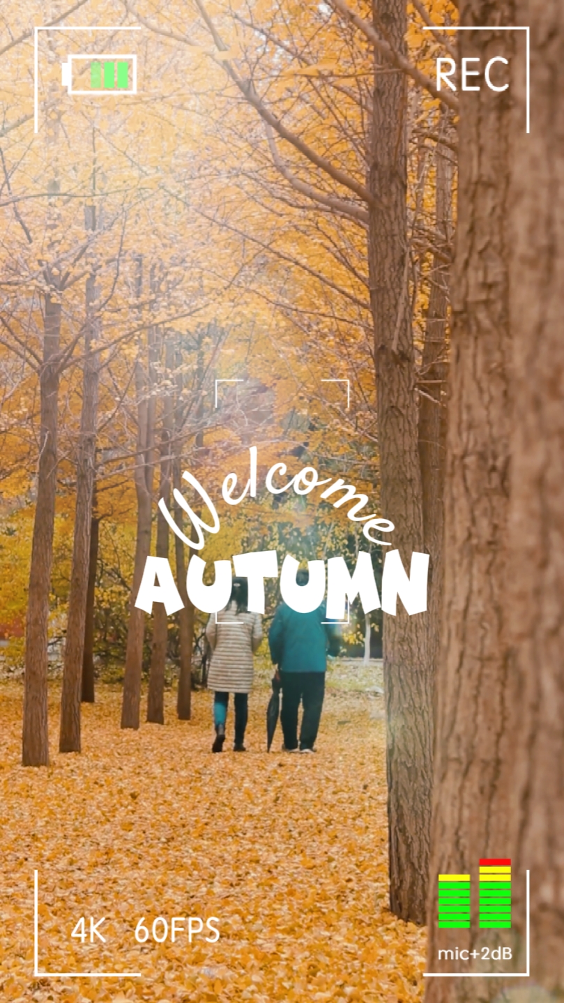 Welcome Autumn
