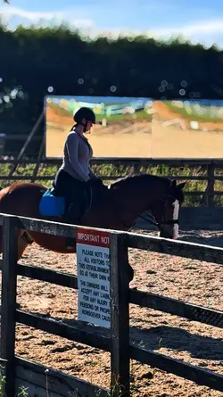🤎✨