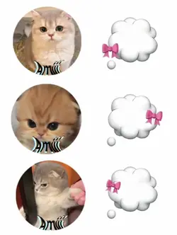 The New Trending Edi