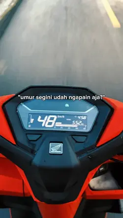 Udh ngapain aja?
