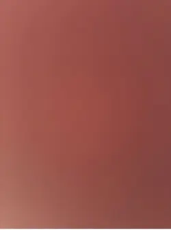 2016/2026 