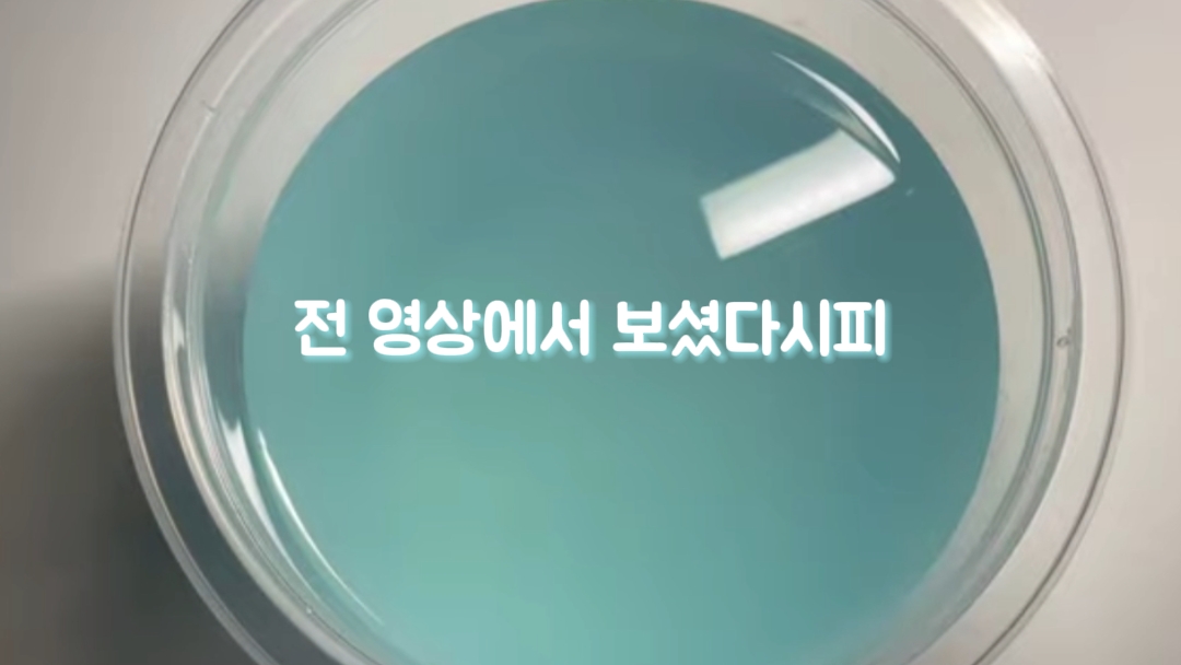 콩닥즈 1차 모집