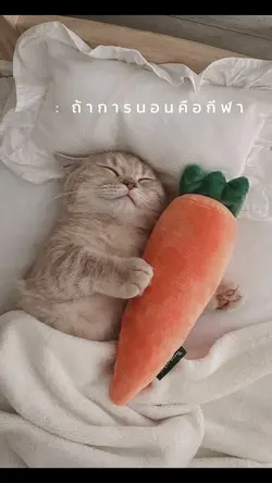 ถ้าการนอนคือกีฬา😎