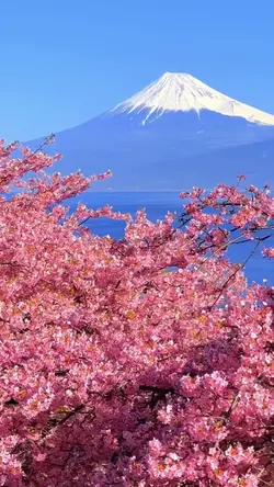 hello spring