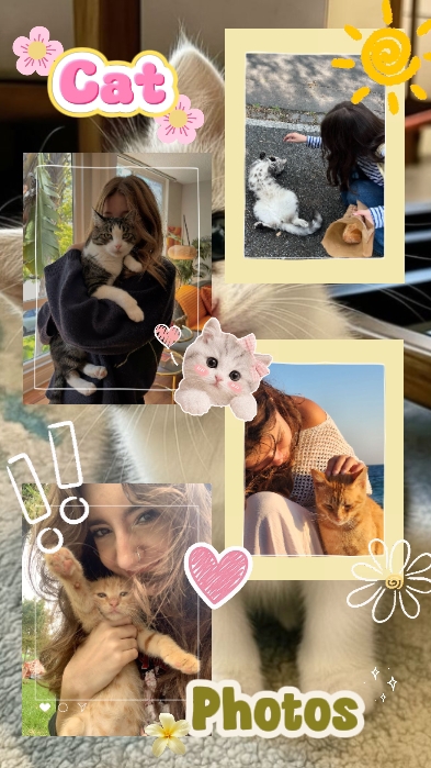 Feliz dia do gato