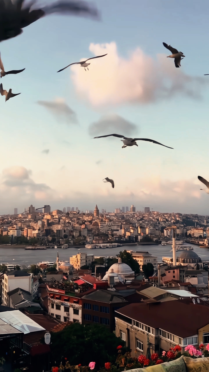 ARAB CINEMATIC HD
