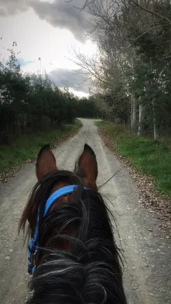 Trail riding🖤