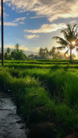 nature vibes