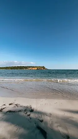 tisaidi-mim 
