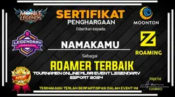 Versi roamer