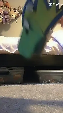 octopus and moonwatc