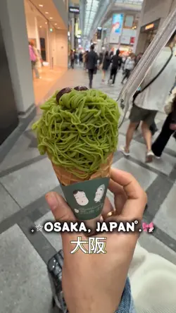 Visit in Osaka