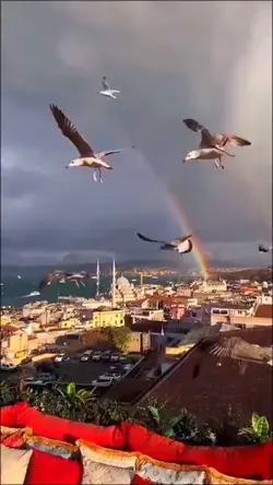 Tu Evînî Ez Evîndar
