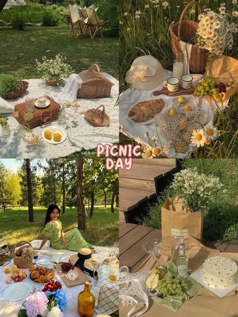 Pic nic 