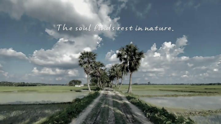 Nature View