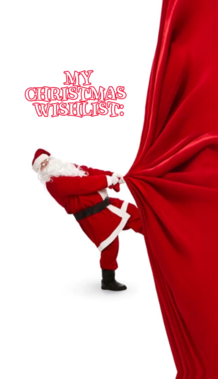 CHRISTMAS WISHLIST