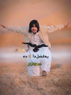 Baz ranga parwaz