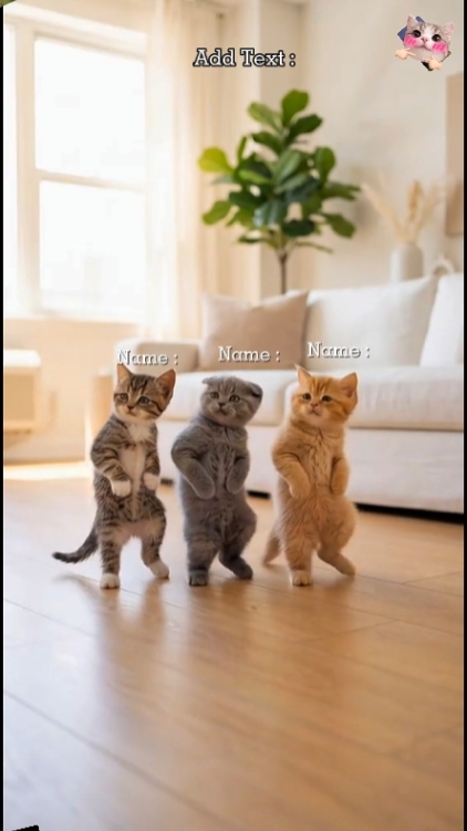 Gato De Baile Divertido
