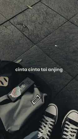 cinta tai anjng
