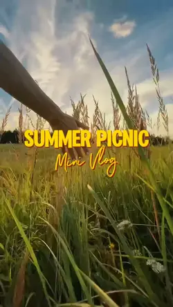 Summer Picnic