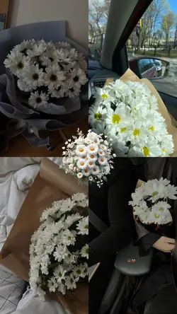 Papatya Özel Şablon 