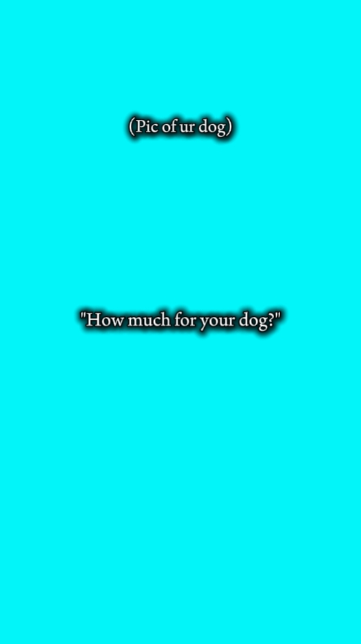 Hund