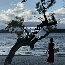 ☆:: like a daydream