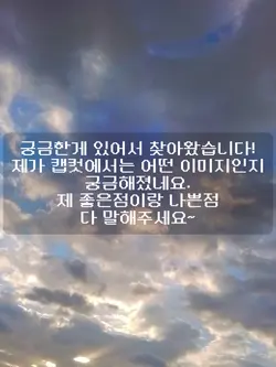 물망초는 캡컷에서 어떤 이미지일까..
