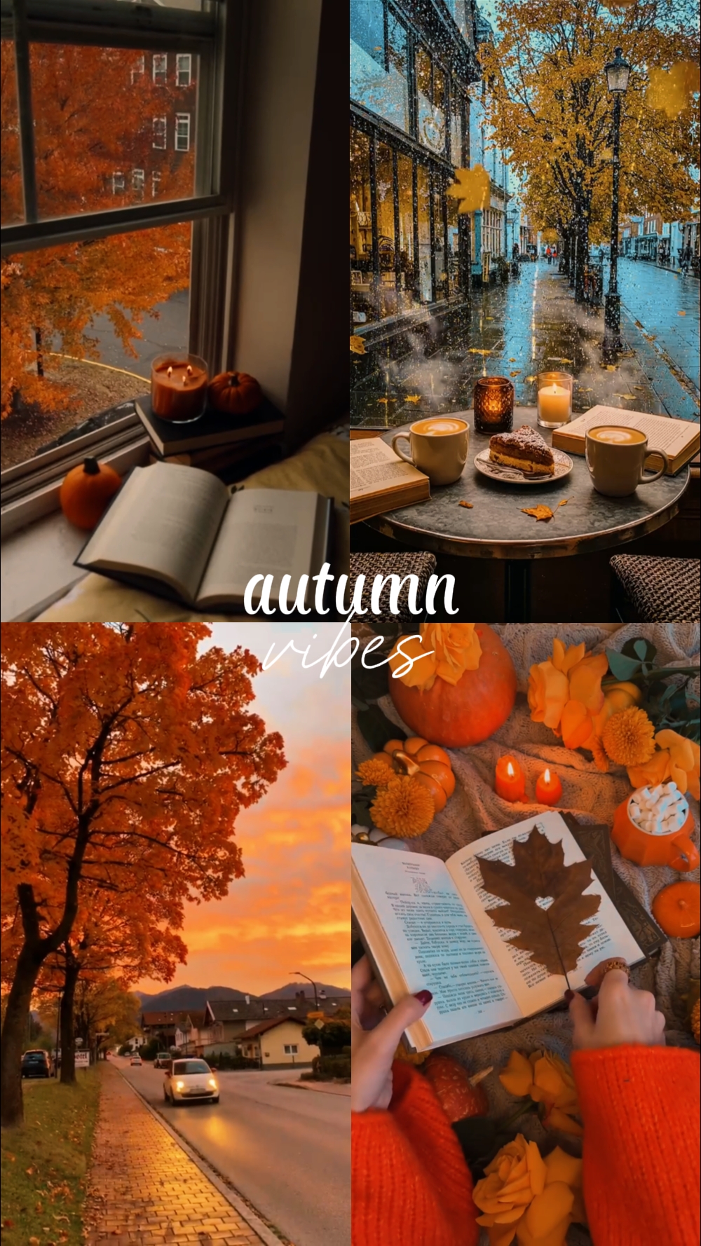Herbst-Vibes