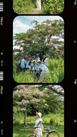 ม้วนฟิล์ม | film roll