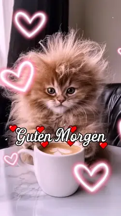 Guten Morgen