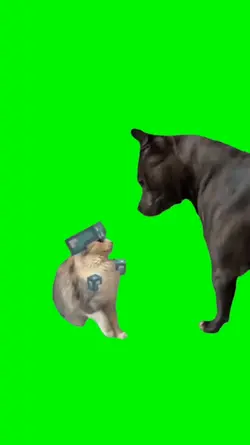 minecraft cat dog
